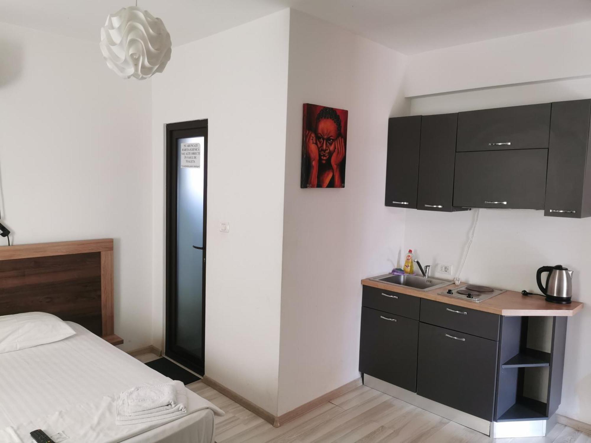 Hotel Ipsilanti 雅西 外观 照片